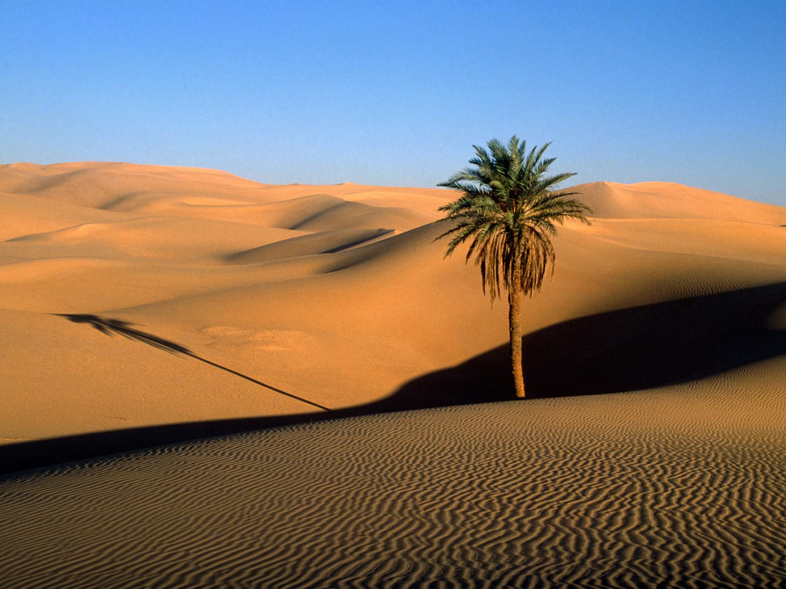 sahara_desert